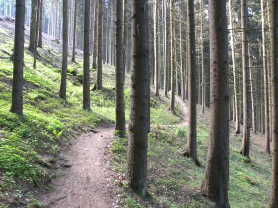 Besonderheiten entdecken