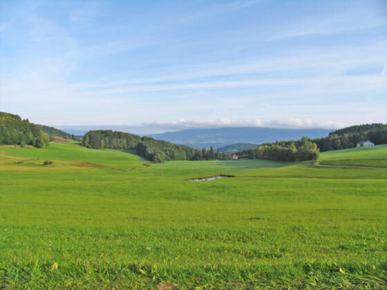 Kohlstattrunde