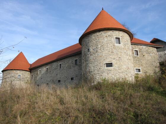 Burgweg auf die Burg Piberstein