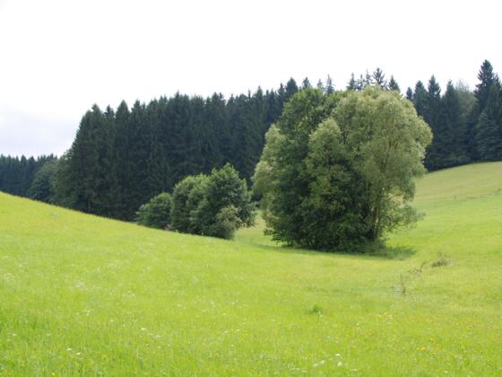 Petersbergrunde