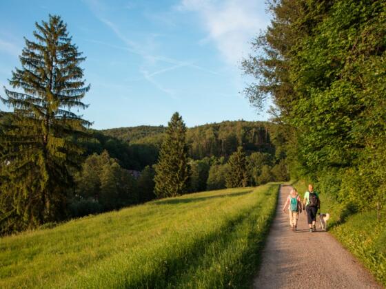 Weg zum Wasserschloss Mespelbrunn