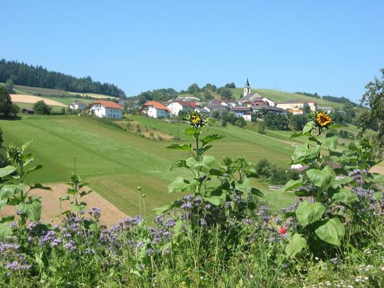 Diese Tour führt an Peilstein vorbei