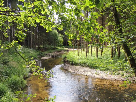 Wandern im Mühltal