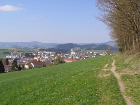 Kirsteig in Rohrbach-Berg
