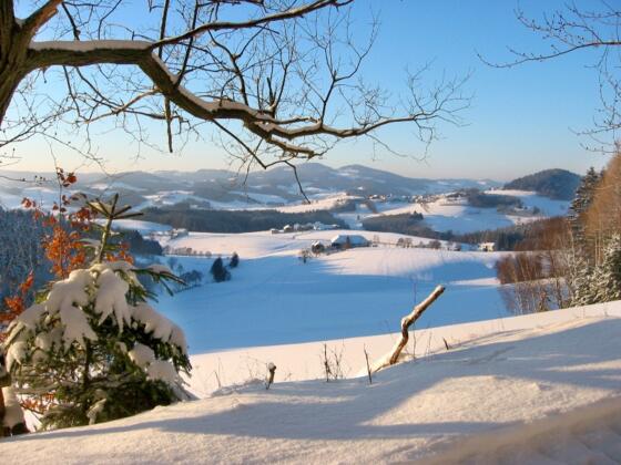 Winterwandern im Böhmerwald