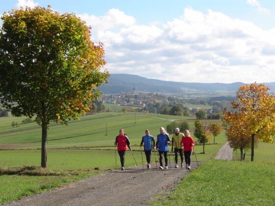 Laufen und Walken in Rohrbach-Berg