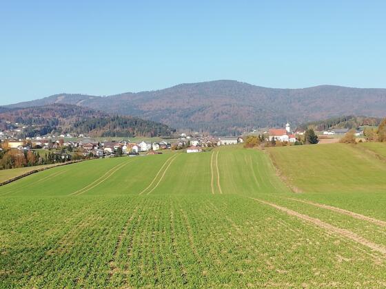 Blick auf den Böhmerwald