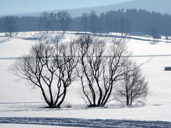 Winterwanderweg in Klaffer am Hochficht