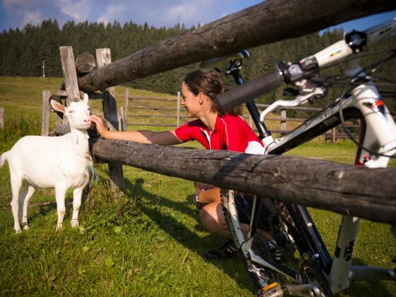 Mountainbiken in einer typisch ländlichen Idylle