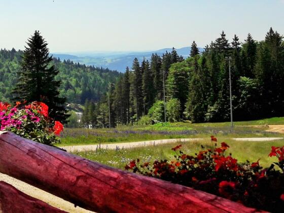 Pause im GH Zum Überleben am Hochficht
