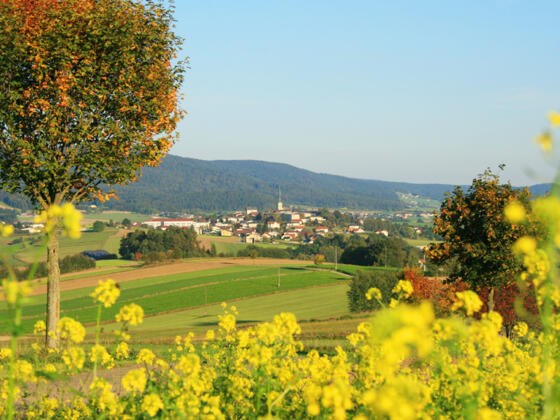 Torfaurunde mit Blick auf Ulrichsberg