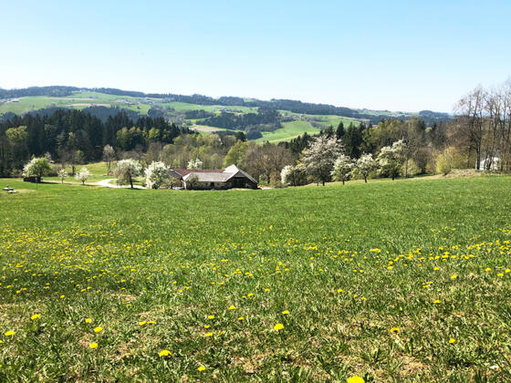 Ahorner Rundweg
