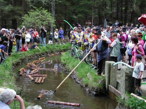 Bruecke in die Bayrische Au