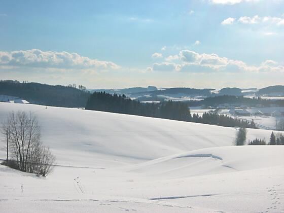 Winterwanderweg Rohrbach-Berg