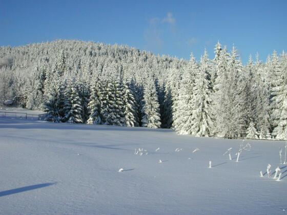Winterwandern ab Schöneben