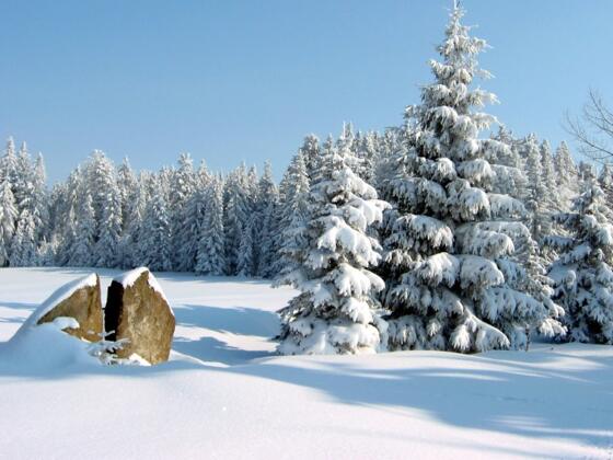 Winterlandschaft im Böhmerwald