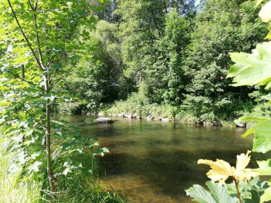 Grosse Muehl am Michlweg in Haslach an der Muehl