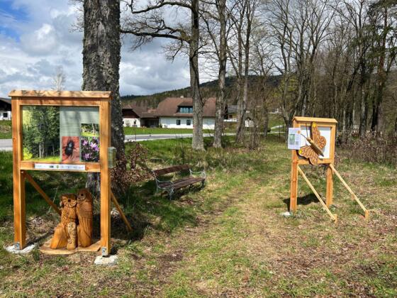 Waldlehrpfad Aigen-Schlaegl