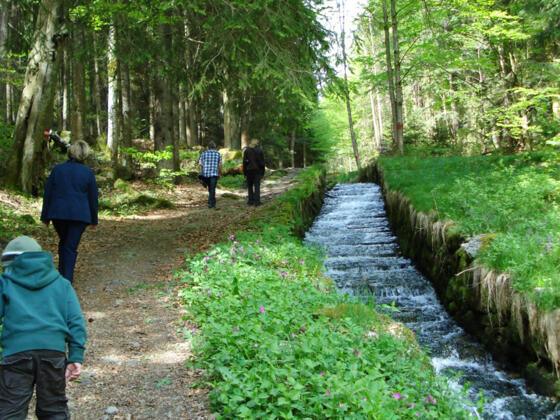 Steilstufenweg am Schwarzenbergischen Schwemmkanal