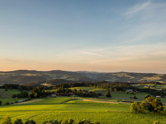 Muehlviertel-Landschaft_Oberoesterreich-Tourismus-GmbH_SusanneEinzenberger_NEU