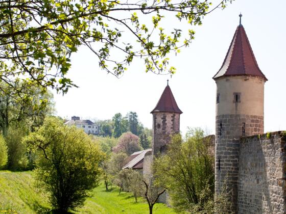 Seßlach | Stadtmauer