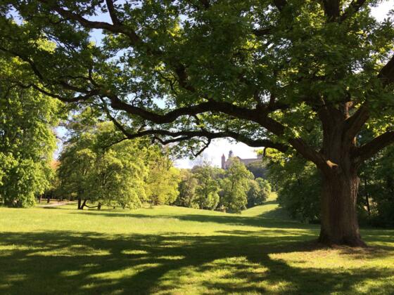 Coburger Hofgarten mit Blick auf die Veste Coburg
