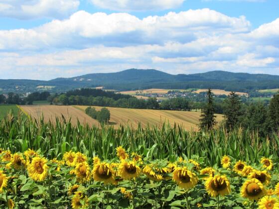 Blick von Manzenberg