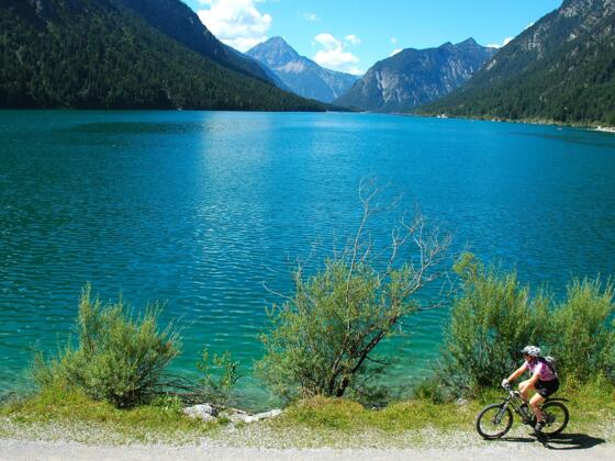 Plansee