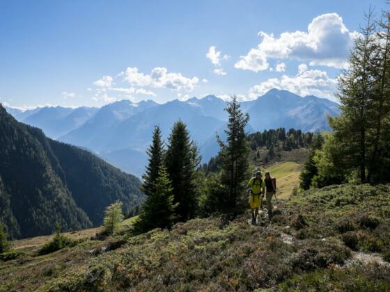 Sommer Wandern Reichalm