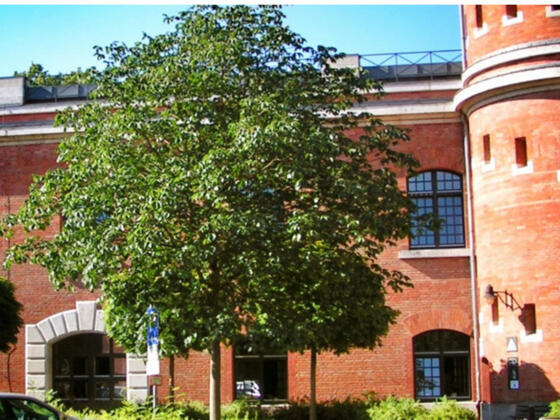 Jugendherberge Ingolstadt