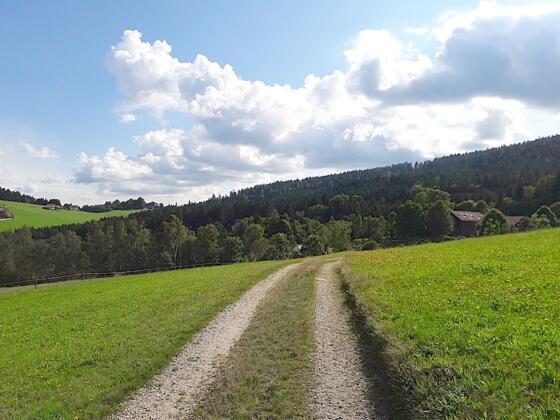 Blick nach Kalteck