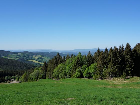 Aussicht beim queren der Predigtstuhl-Lifthänge
