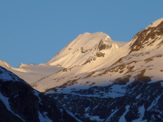 Ankogel im Morgenlicht