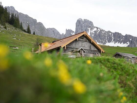 Stuhlalm mit Bischofsmütze