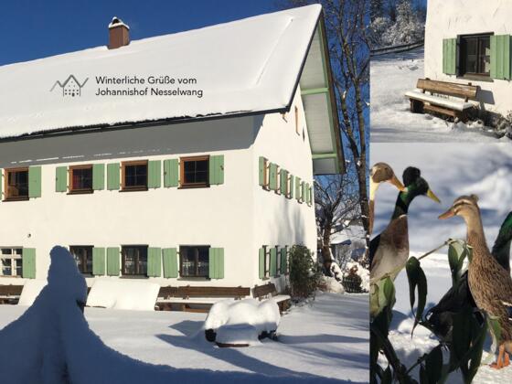 Johannishof im Winter, Bild 1