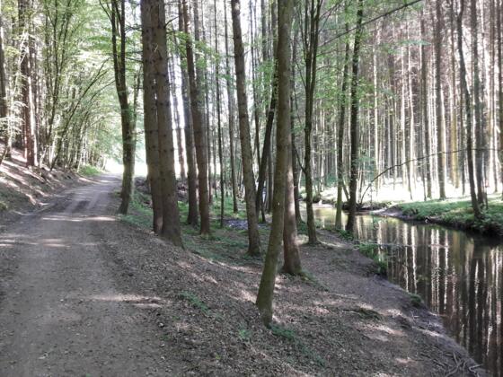 Perlbachtal