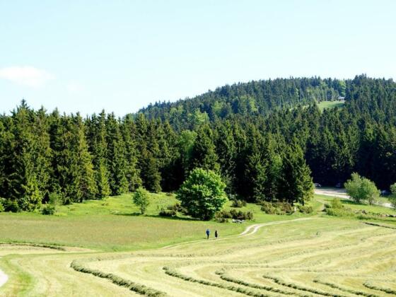 Blick zur Wacholderheide mit Pröller im Hintergrund