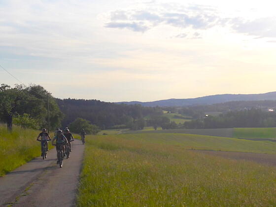 Zwischen Höllgrub und Höllberg mit Blick Richtung Haselbach