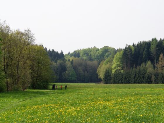 Im Perlbachtal