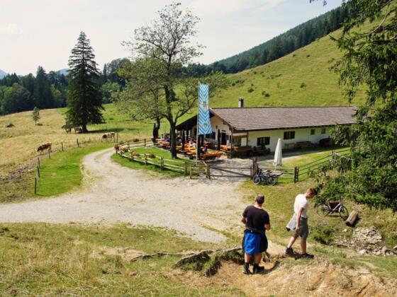 Maisalm