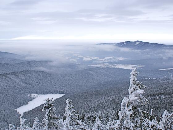 Blick zum Kleinen Arbersee und Lamer Winkel mit Osser