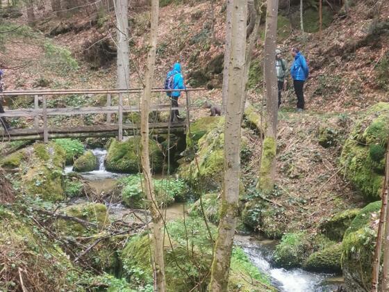 Bärenluckenweg Wandern in Kaltenberg