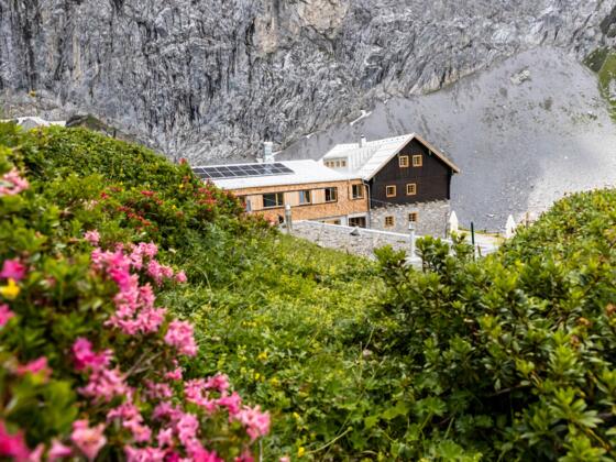 Anhalter Hütte mit Almrausch