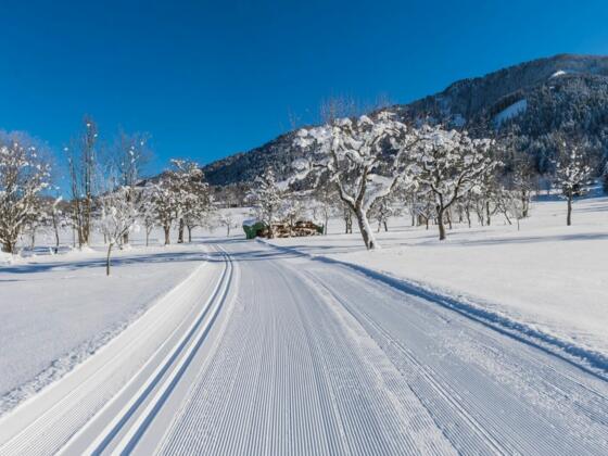 Söll_Schattseit_Winter_Wilder Kaiser