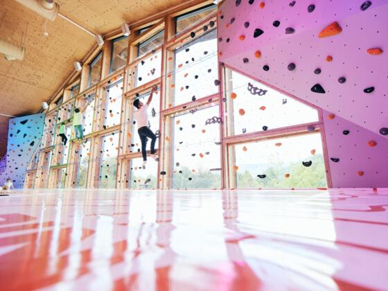 tp_halle-1_boulderwand_2022_ursgolling_0145