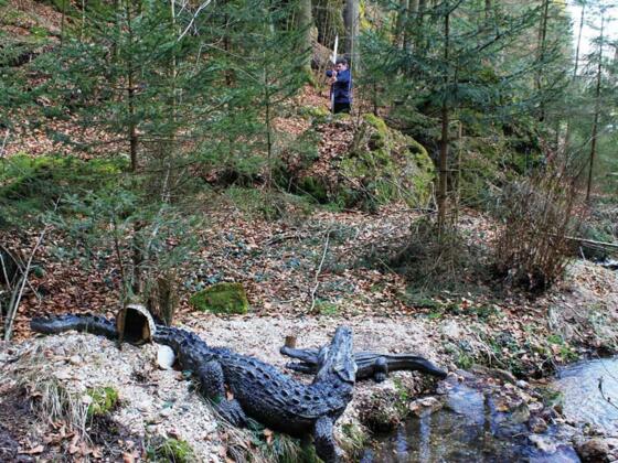 3D Bogenparcours Krokodil