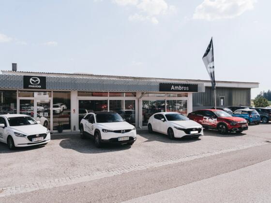 Ambros Automobile GmbH