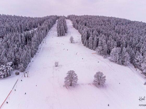 Viehberg_WiesingerKarl