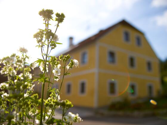 Bio-Bauernhof Leimlehner