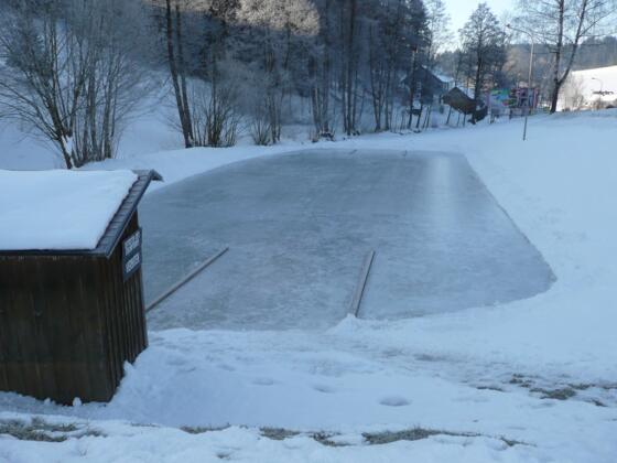 eislaufteich Schönau